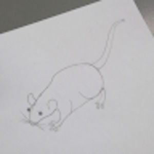 Meet your Posher, Sad_morty